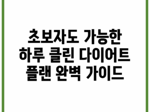 초보자도 가능한 하루 클린 다이어트 플랜 완벽 가이드